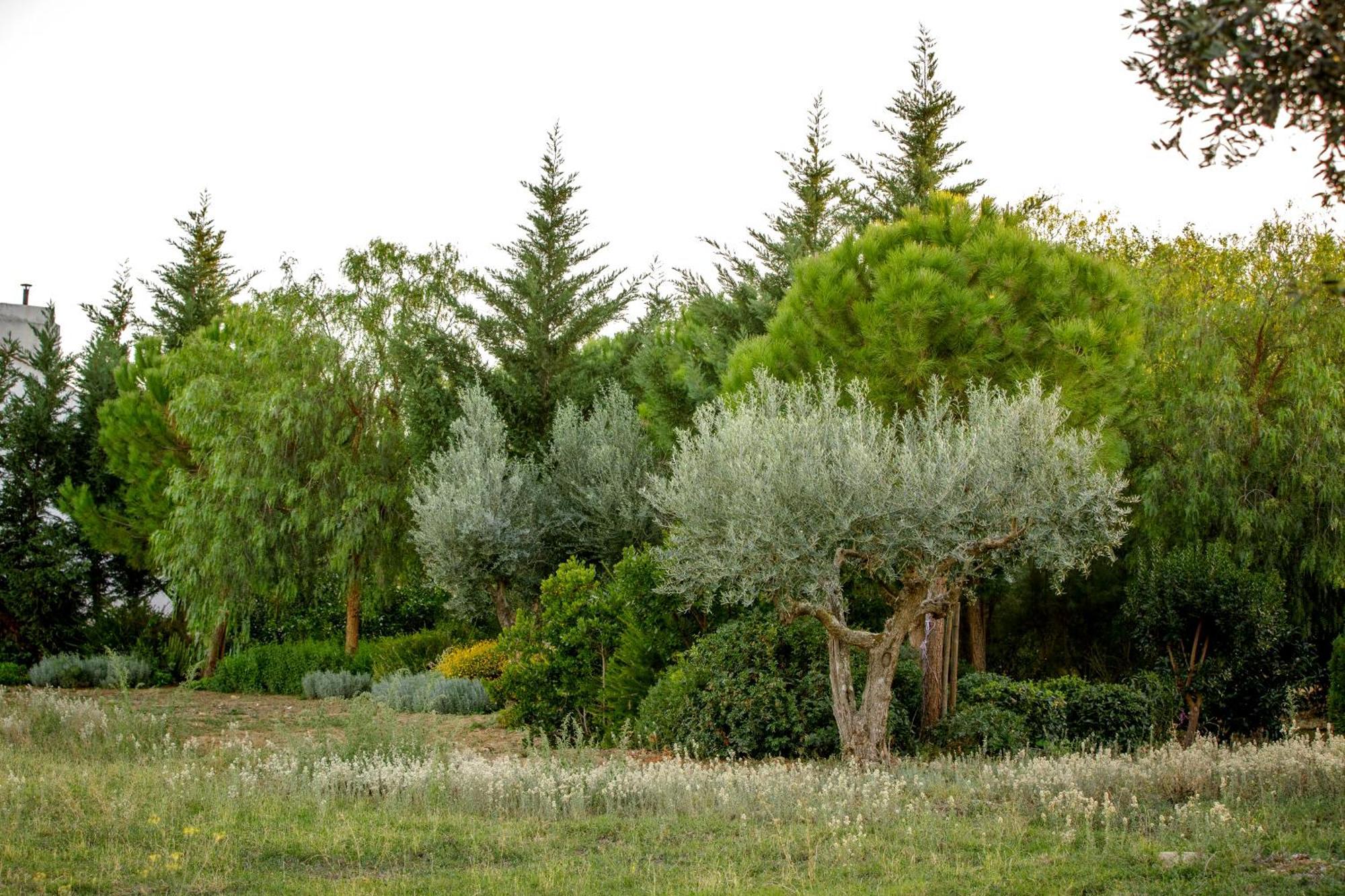 Monte Da Hortinha Villa Estremoz Exterior foto